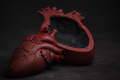 Anatomical heart jewelry box ￼